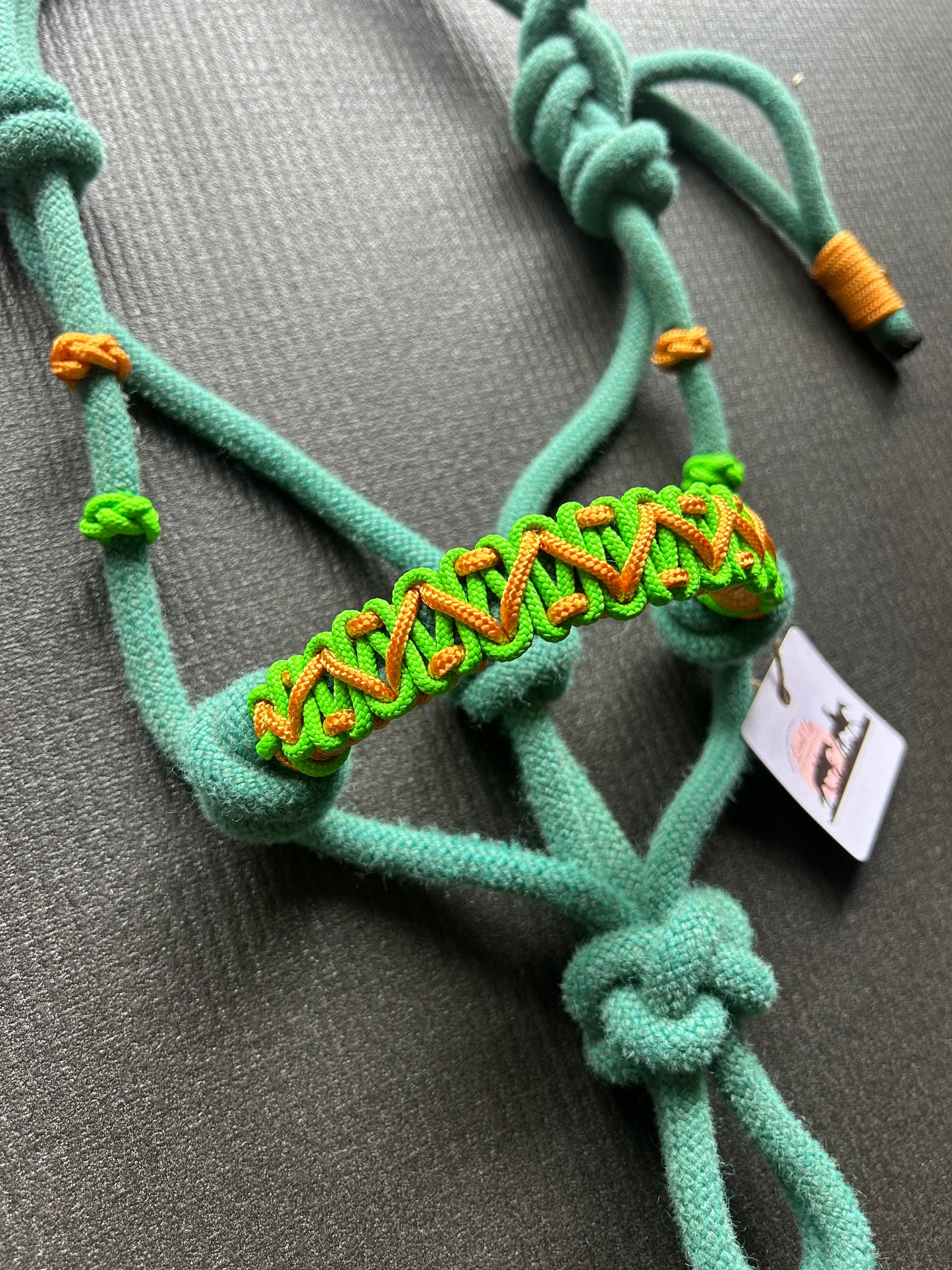 Licol prêt à partir – Tressage Avocado – Turquoise