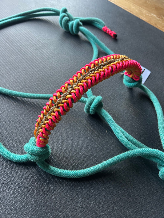 Licol prêt à partir – Tressage Lightning – Turquoise