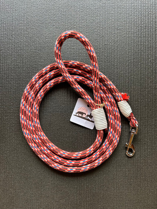 Laisse pour chien - 2m