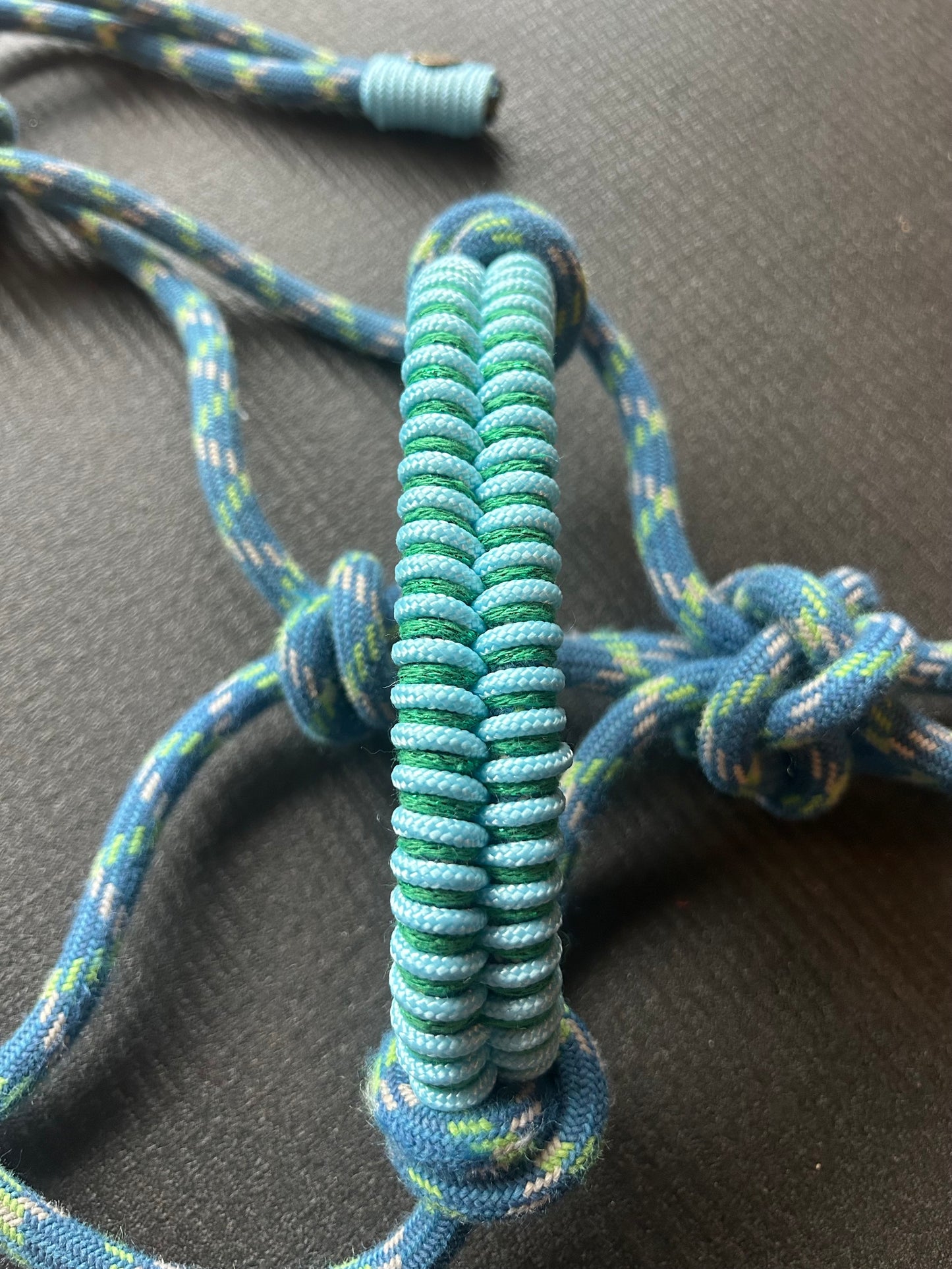 Licol prêt à partir – Tressage Fallin – Bleu/Vert