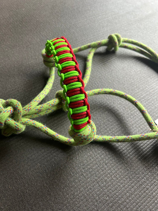 Licol prêt à partir – Tressage Hercules – Vert/Bleu