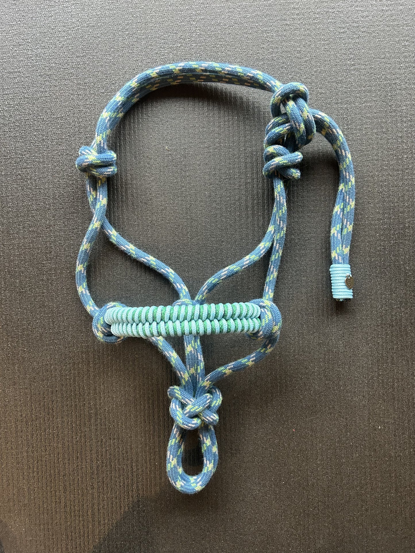 Licol tressage Fallin corde Bleu-vert