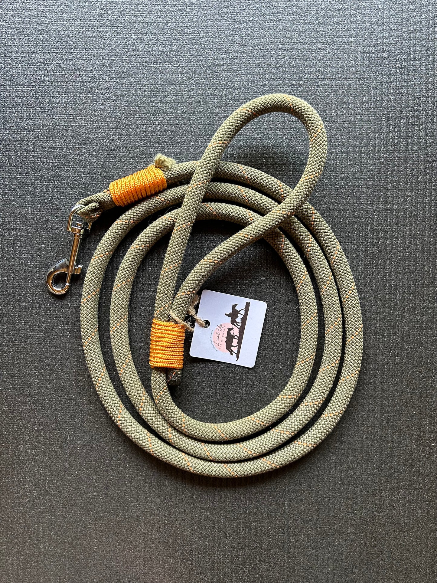 Laisse pour chien - 2m