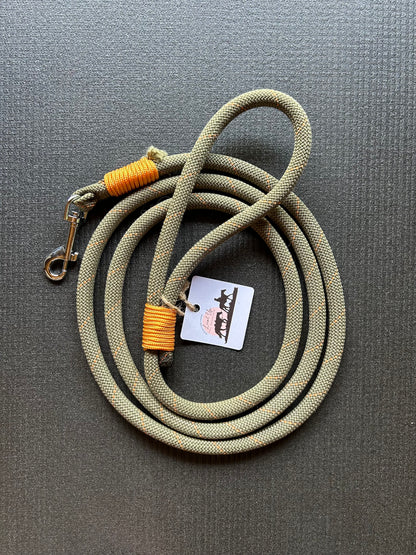 Laisse pour chien - 2m