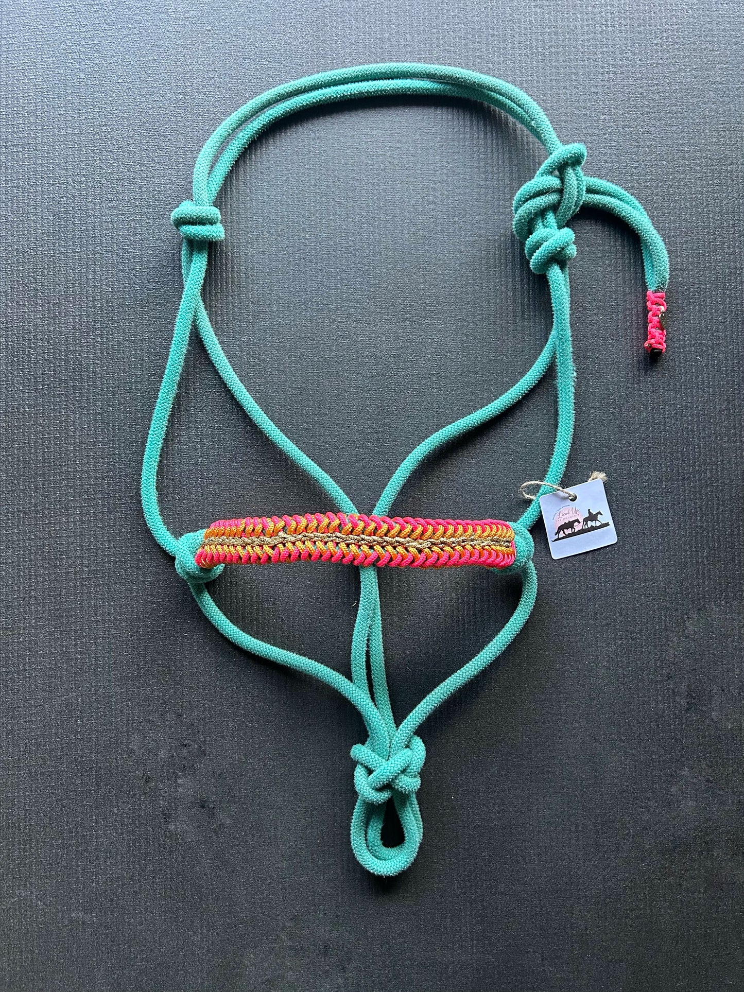 Licol tressage Lightning