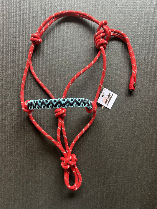 Licol tressage Avocado