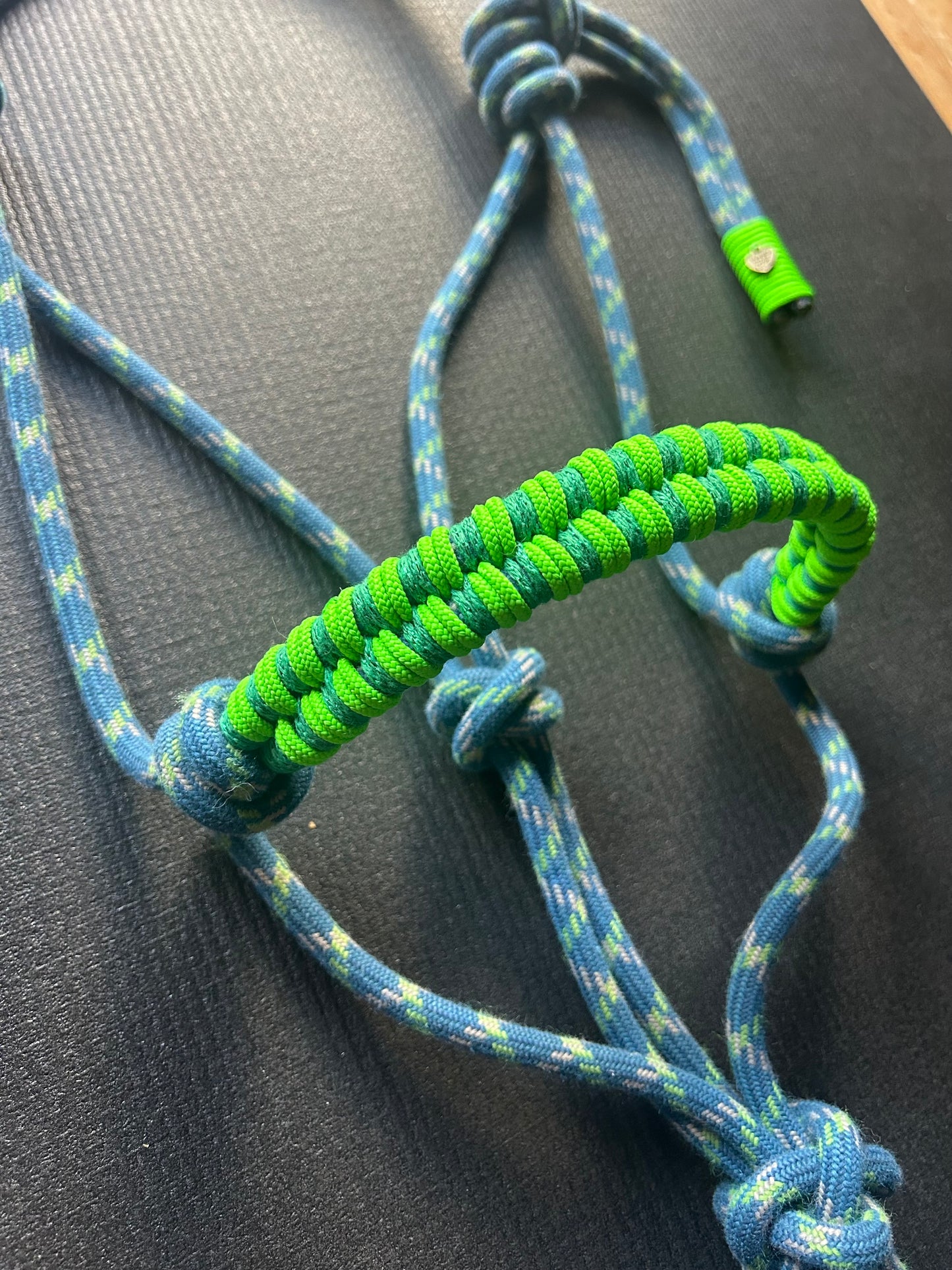 Licol tressage Storm