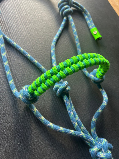 Licol tressage Storm