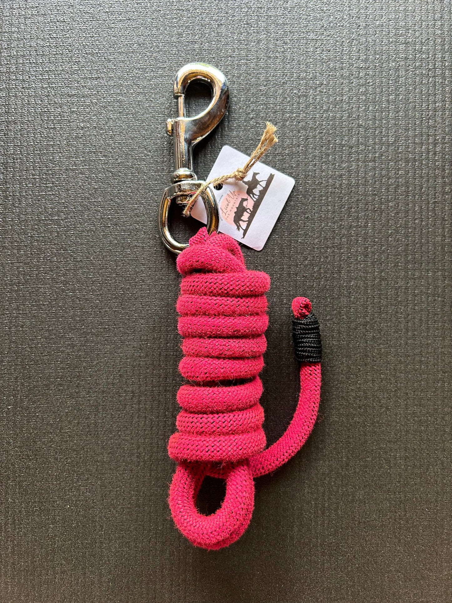 Longe d'attache — 2 m