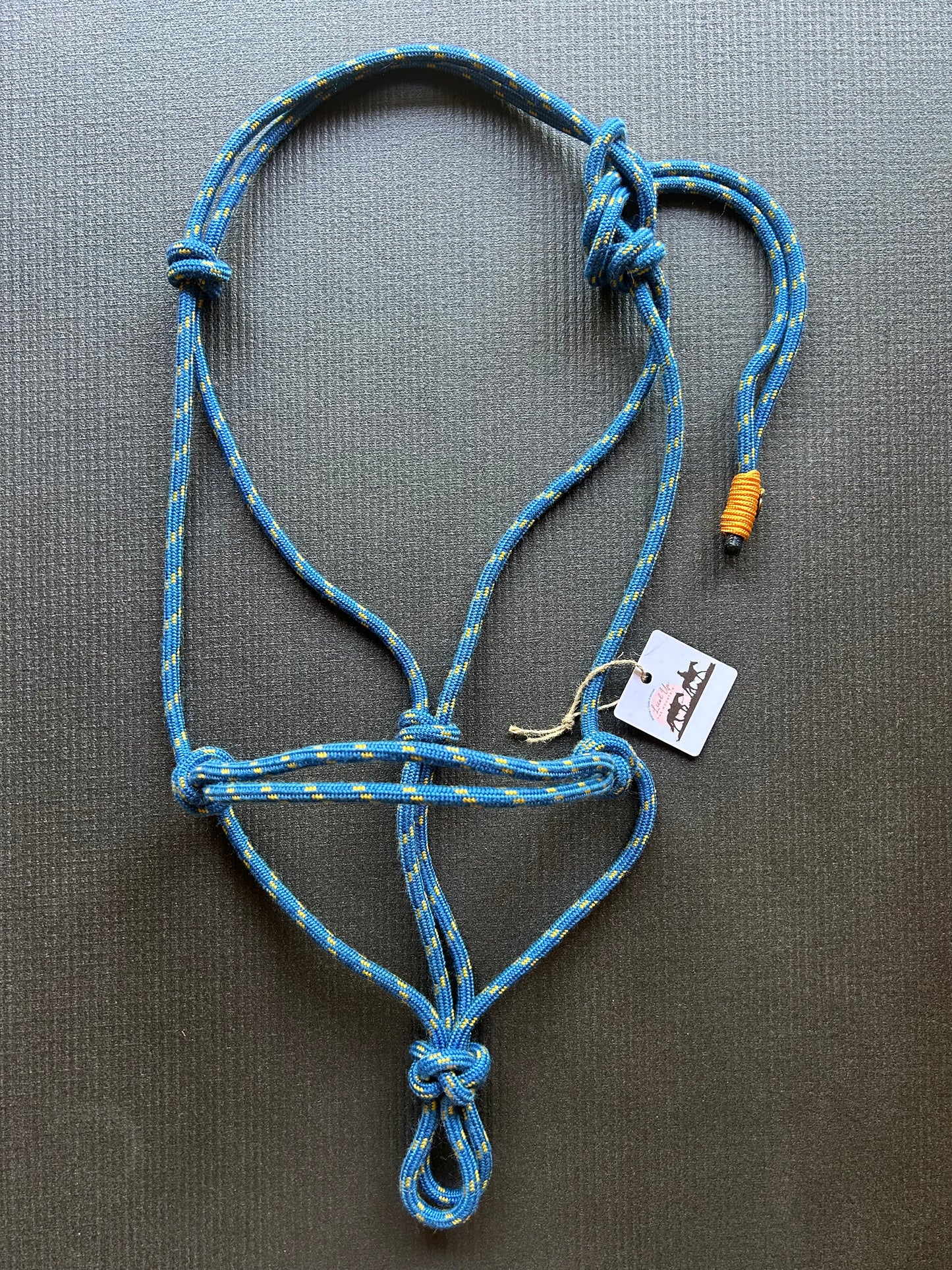 Licol prêt à partir – Bleu/Jaune – Cheval – Corde fine 6mm