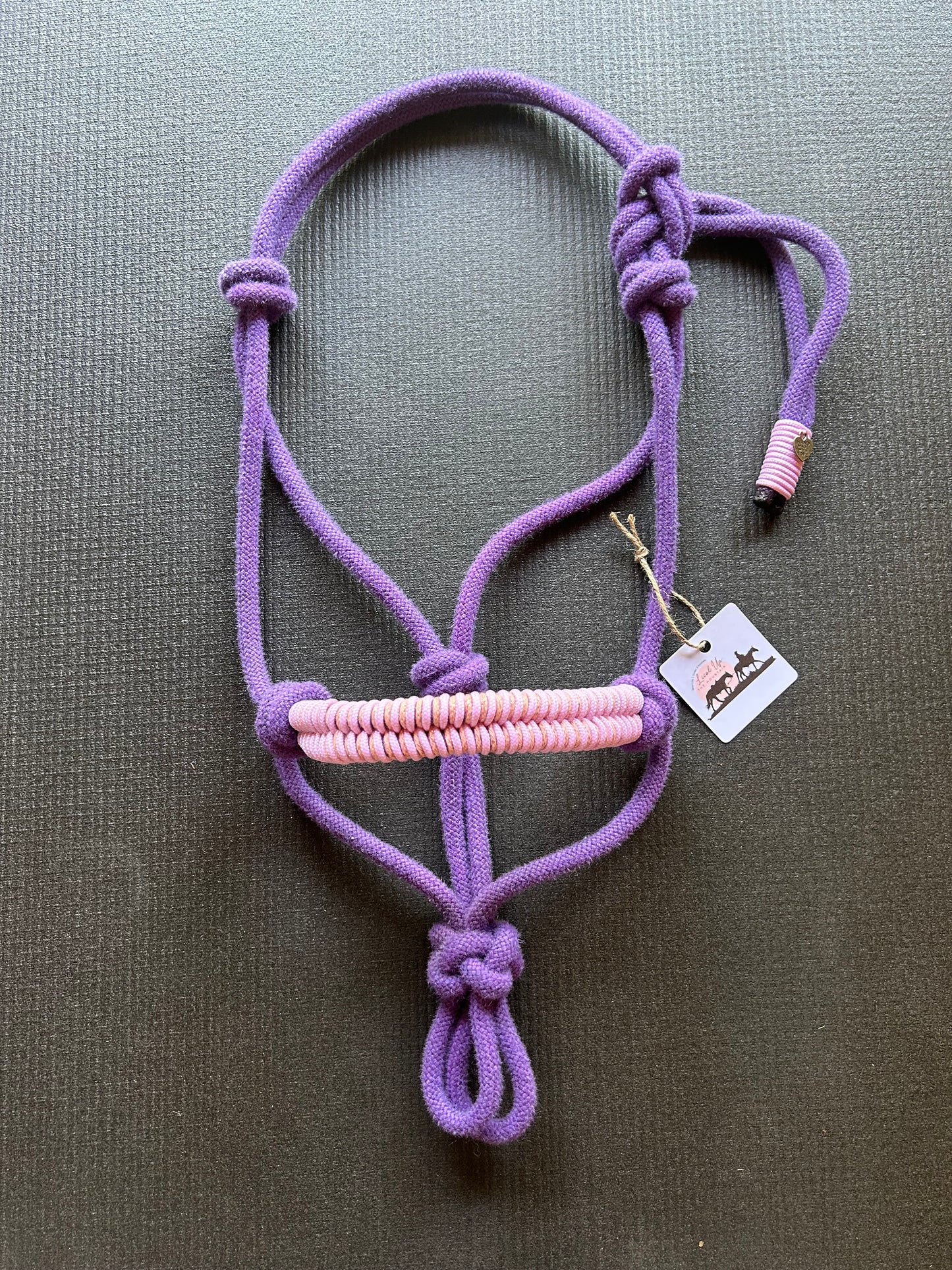 Licol prêt à partir – Tressage Fallin – Violet – Poney