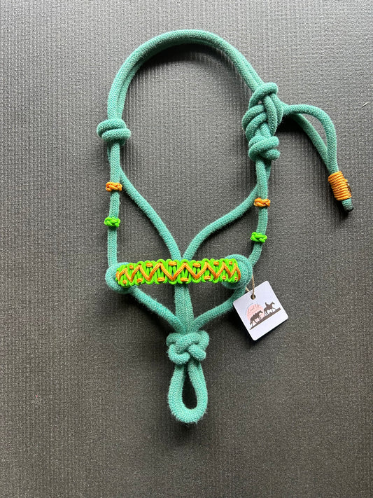 Licol prêt à partir – Tressage Avocado – Turquoise