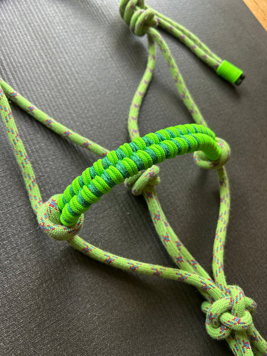Licol prêt à partir – Tressage Storm – Vert/Rouge – Double Poney