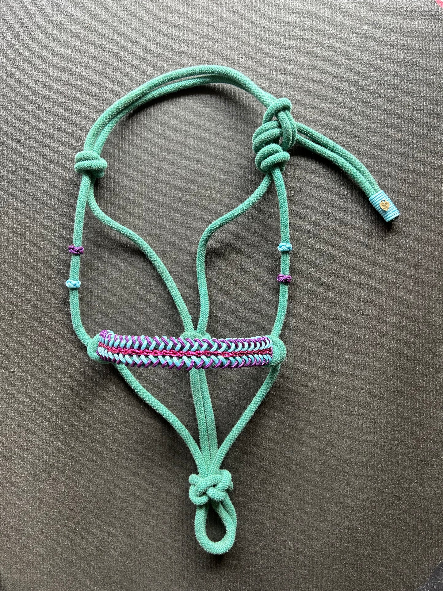 Licol tressage Lightning