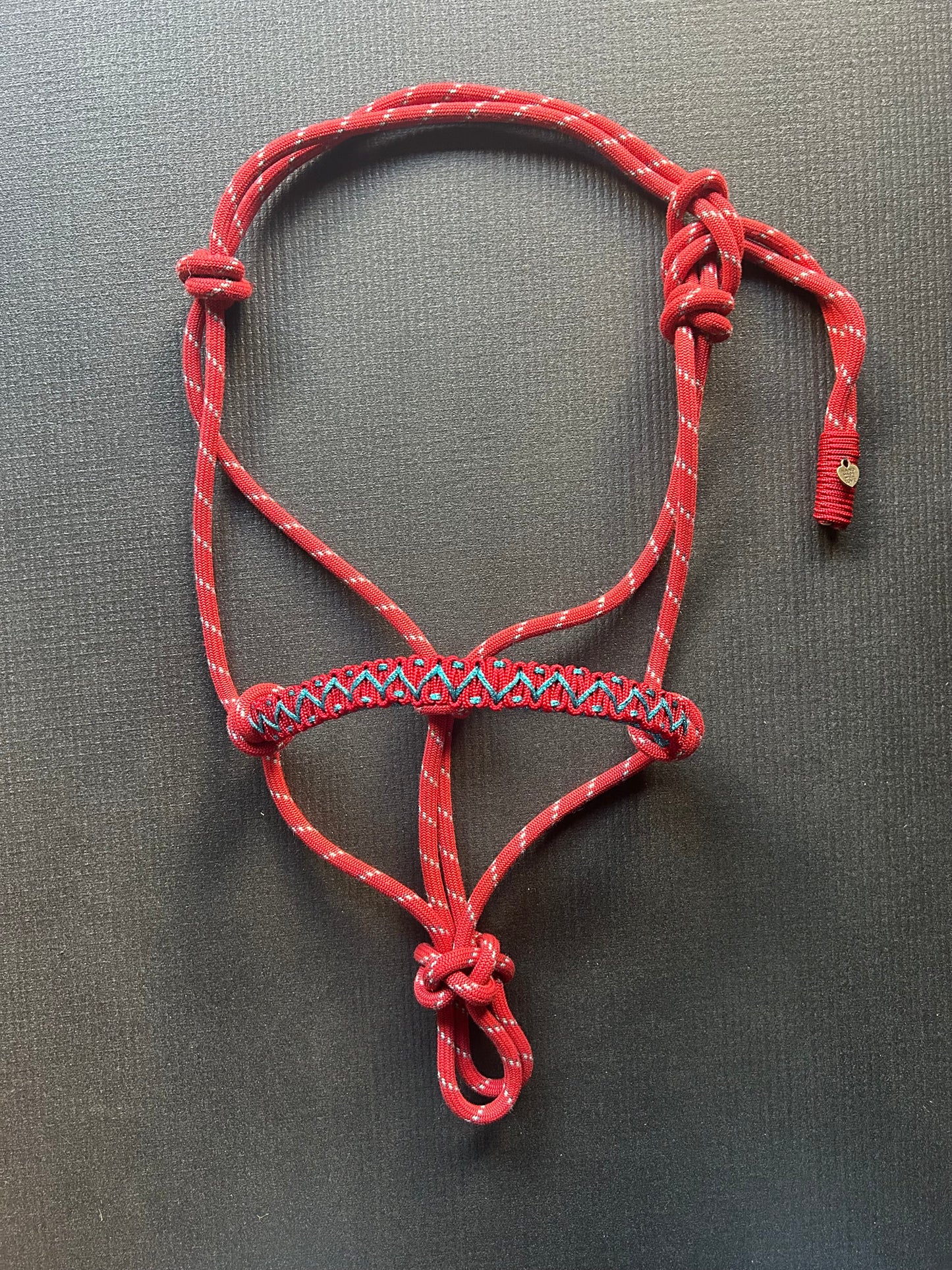 Licol tressage Avocado