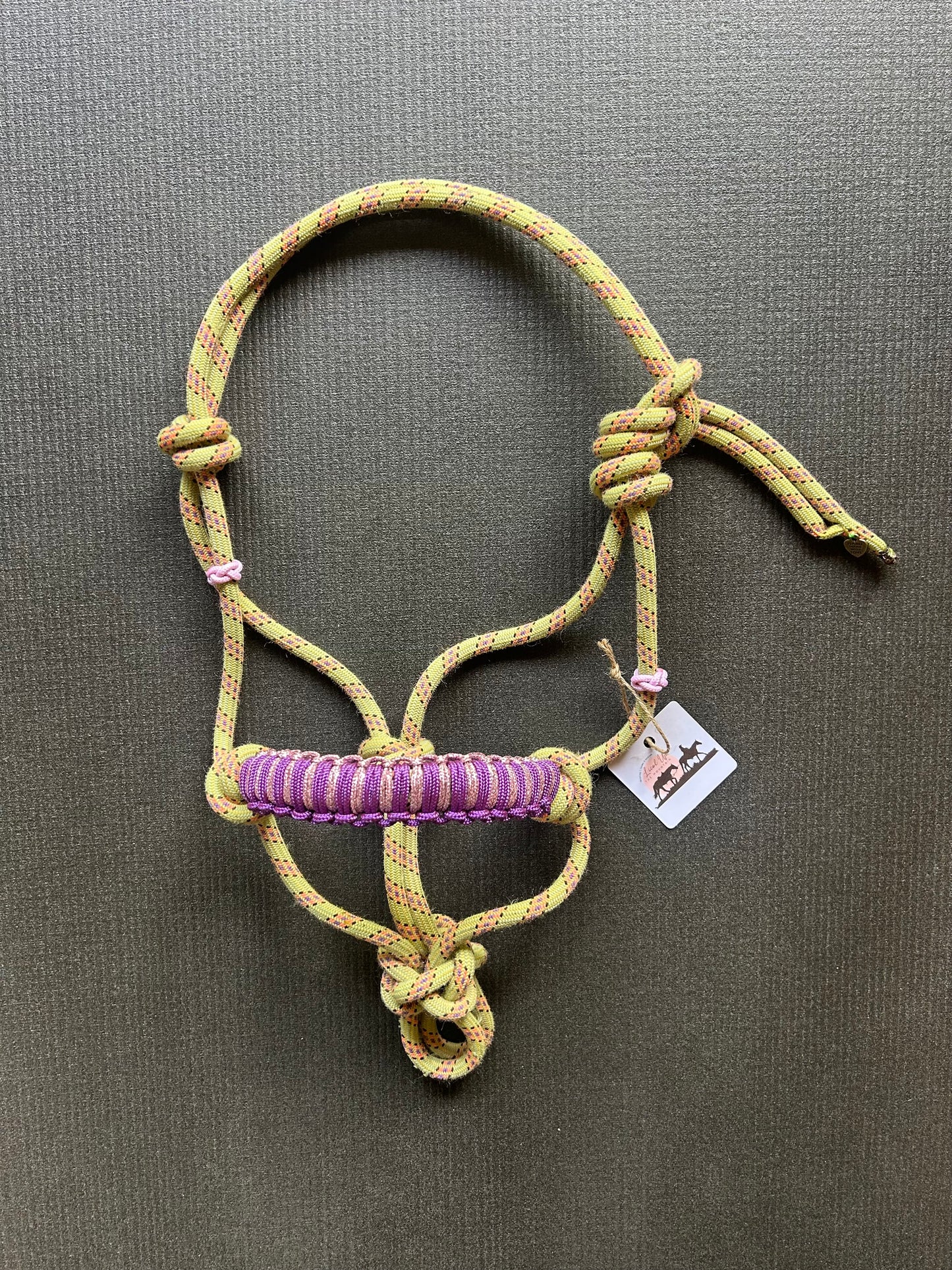 Licol prêt à partir – Tressage Hercules – Jaune/Rose – Poulain/Shetland