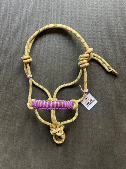 Licol prêt à partir – Tressage Hercules – Jaune/Rose – Poulain/Shetland