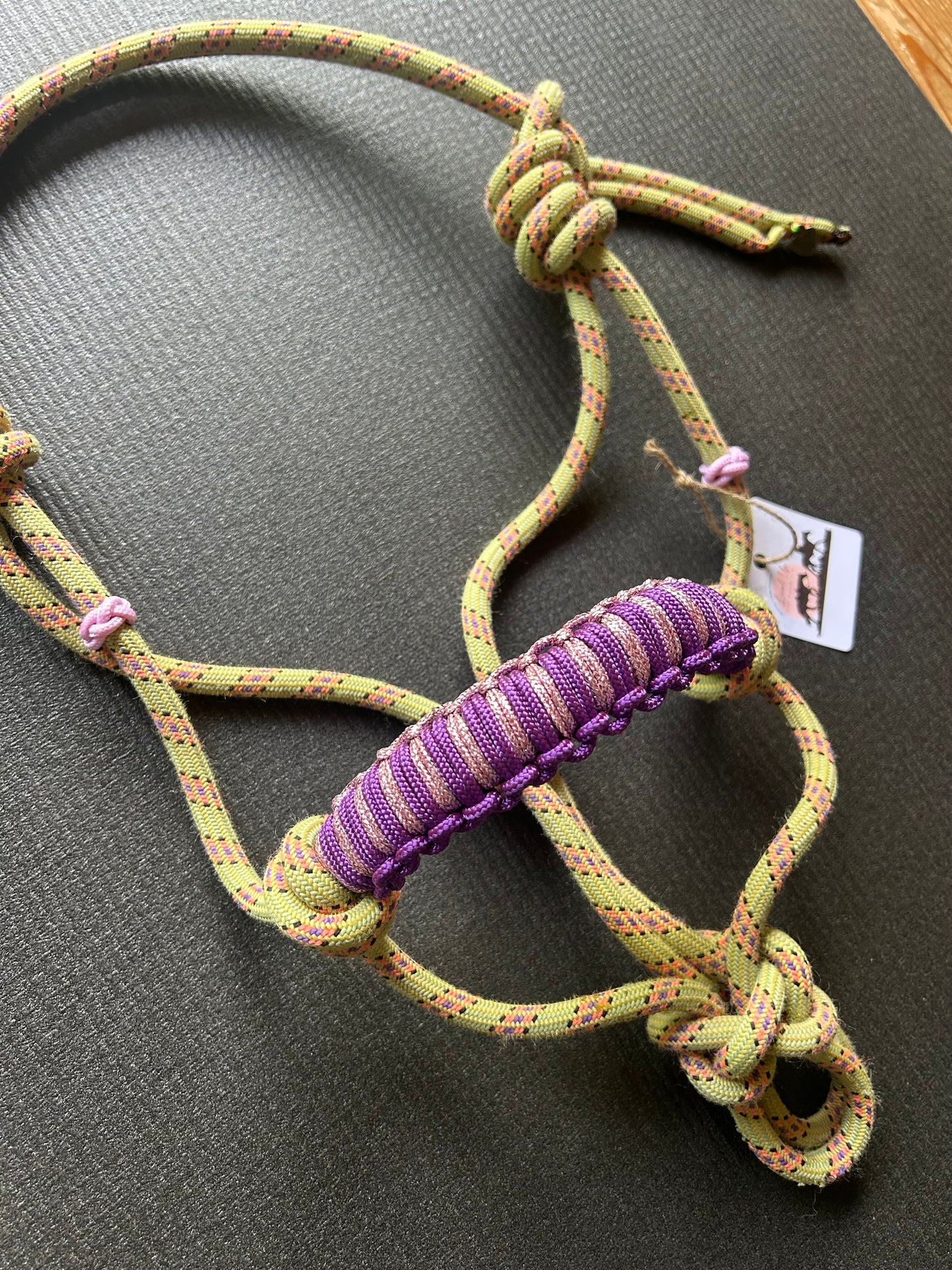 Licol prêt à partir – Tressage Hercules – Jaune/Rose – Poulain/Shetland