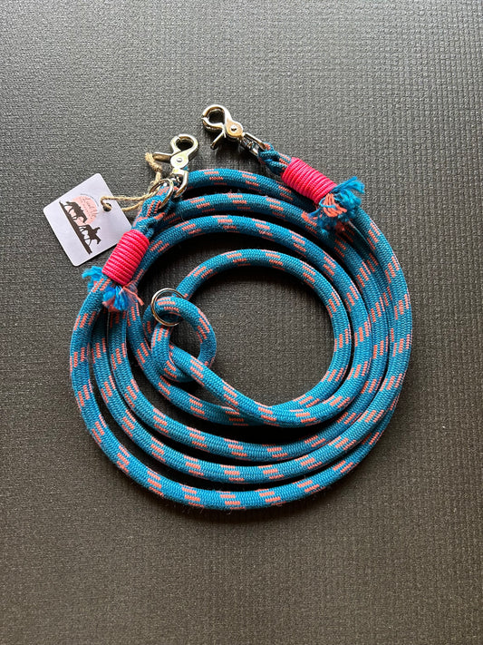Laisse pour chien multipositions – 3m