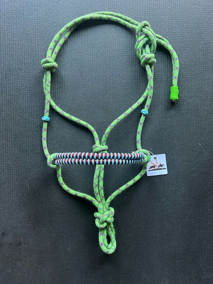 Licol tressage Fallin