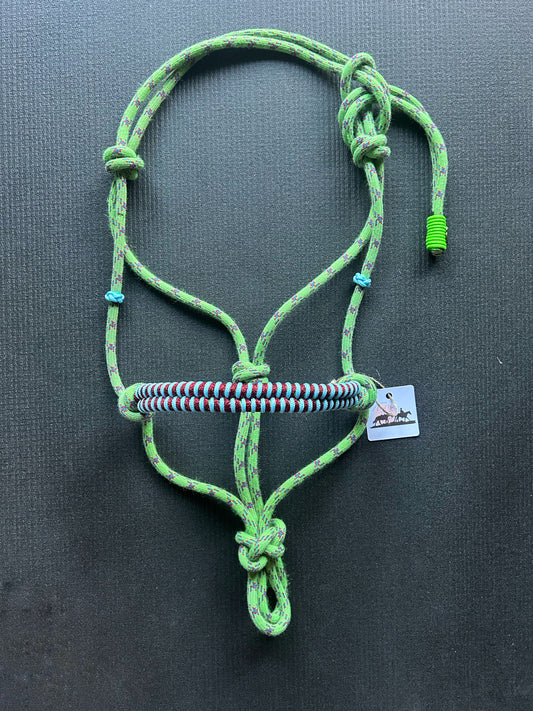 Licol tressage Fallin