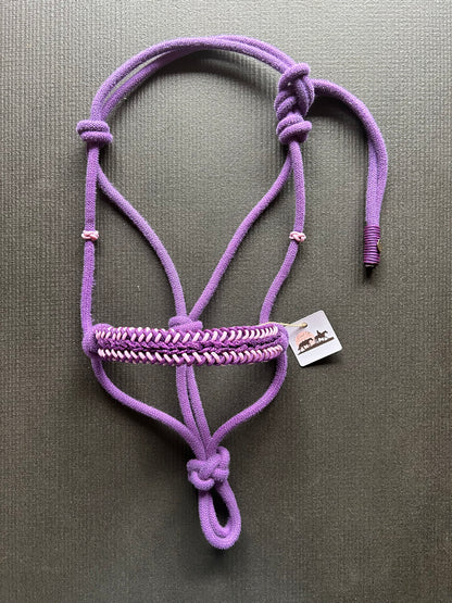 Licol tressage Lightning