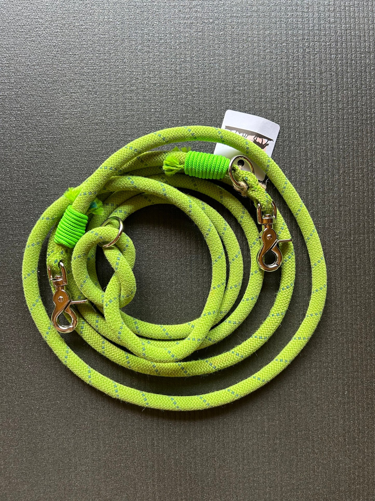 Laisse pour chien multipositions – 3m