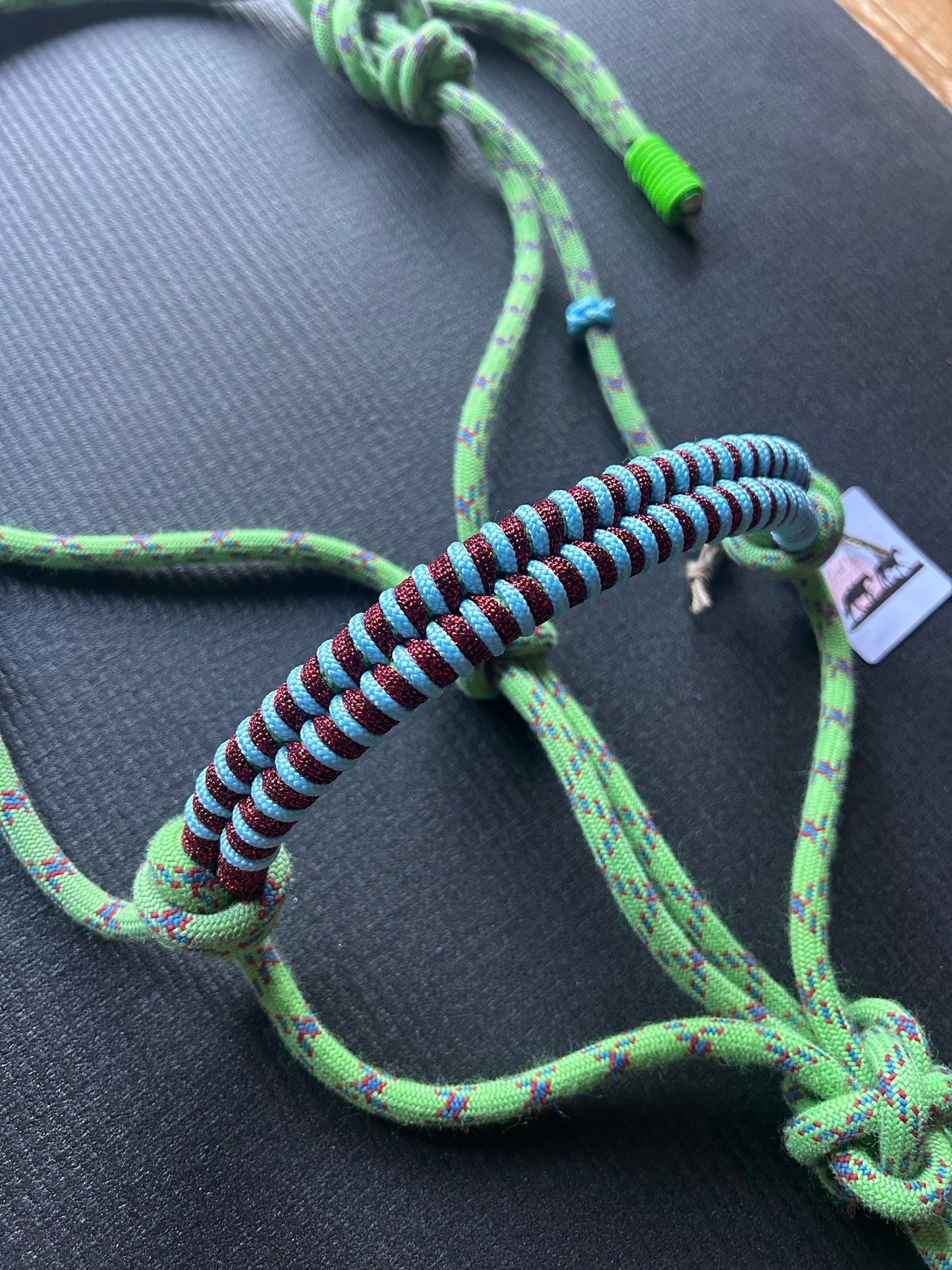 Licol tressage Fallin