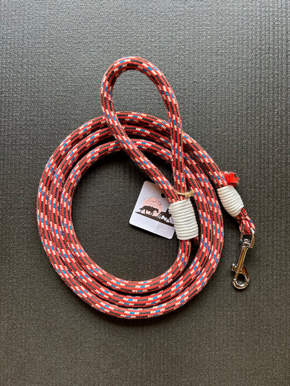 Laisse pour chien - 2m