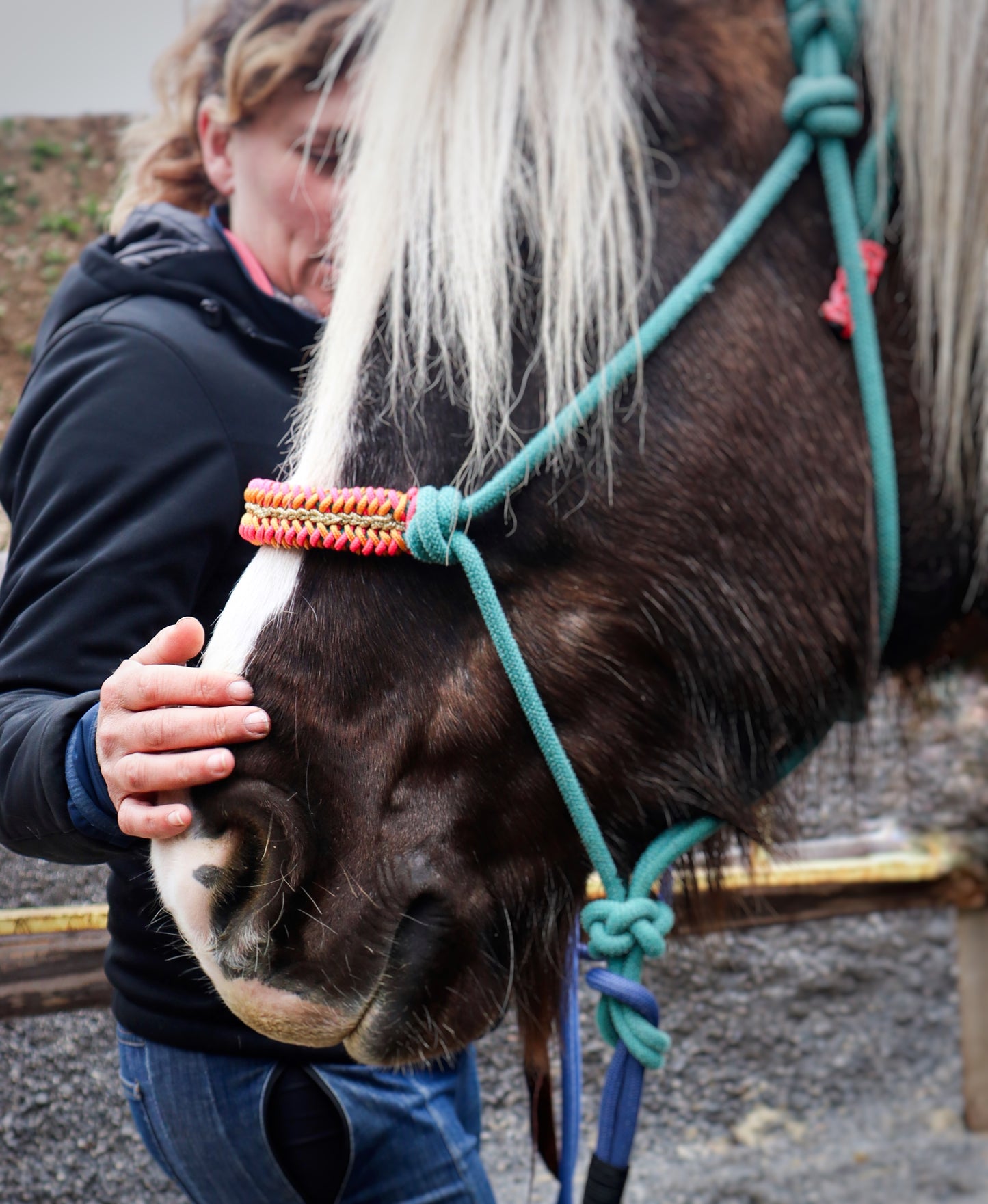 Licol tressage Lightning