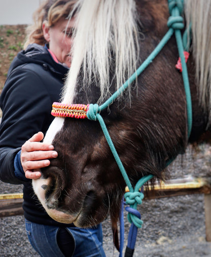 Licol tressage Lightning