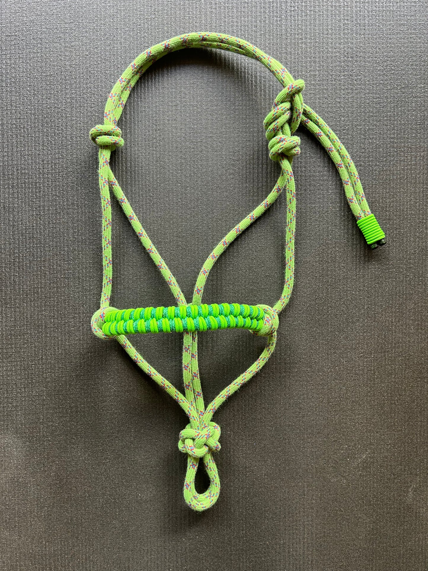 Licol prêt à partir – Tressage Storm – Vert/Rouge – Double Poney