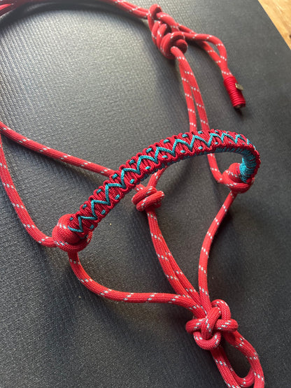 Licol tressage Avocado