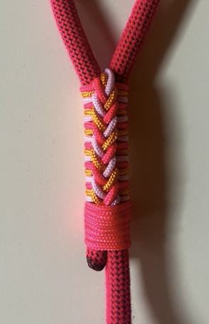 Laisse pour chien - 2m