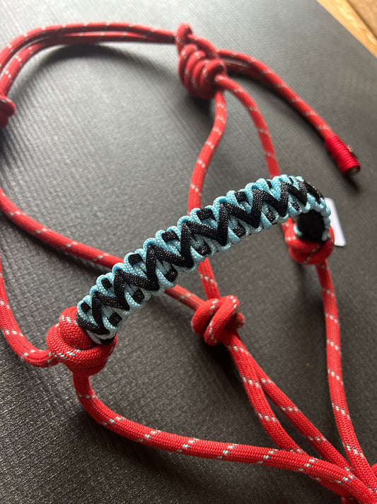 Licol tressage Avocado