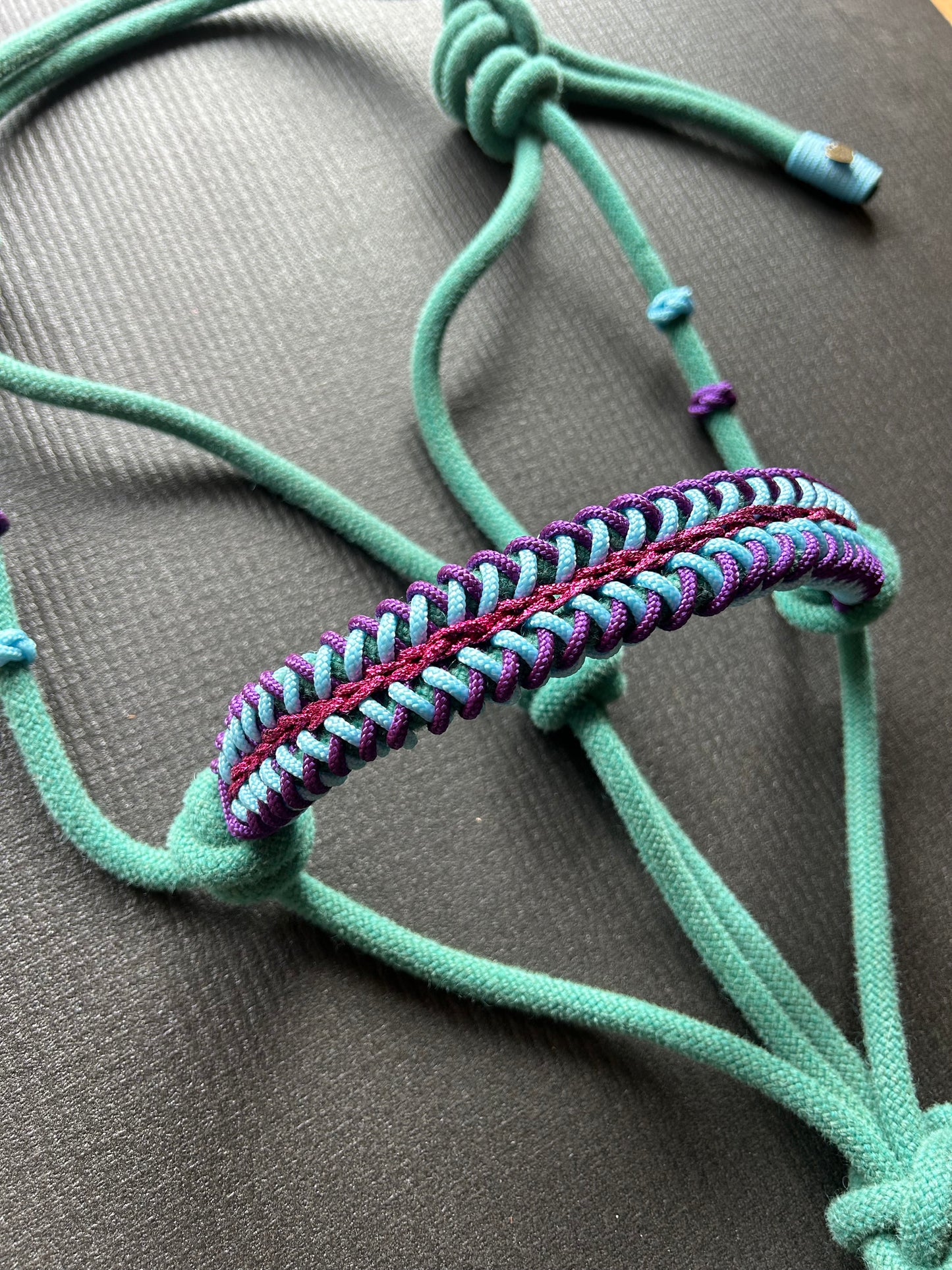 Licol tressage Lightning