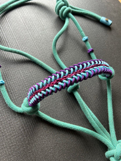 Licol tressage Lightning