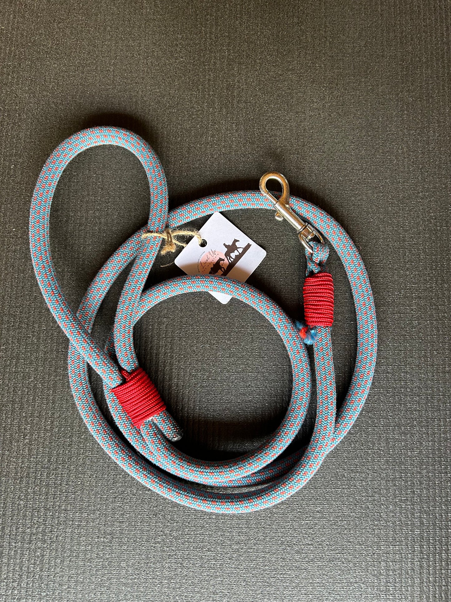 Laisse pour chien - 2m