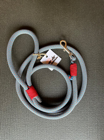 Laisse pour chien - 2m