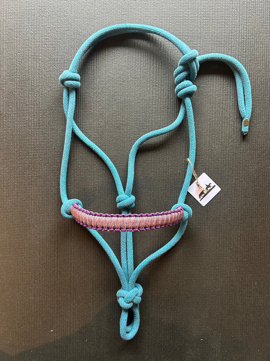 Licol prêt à partir – Tressage Bill – Bleu/Violet