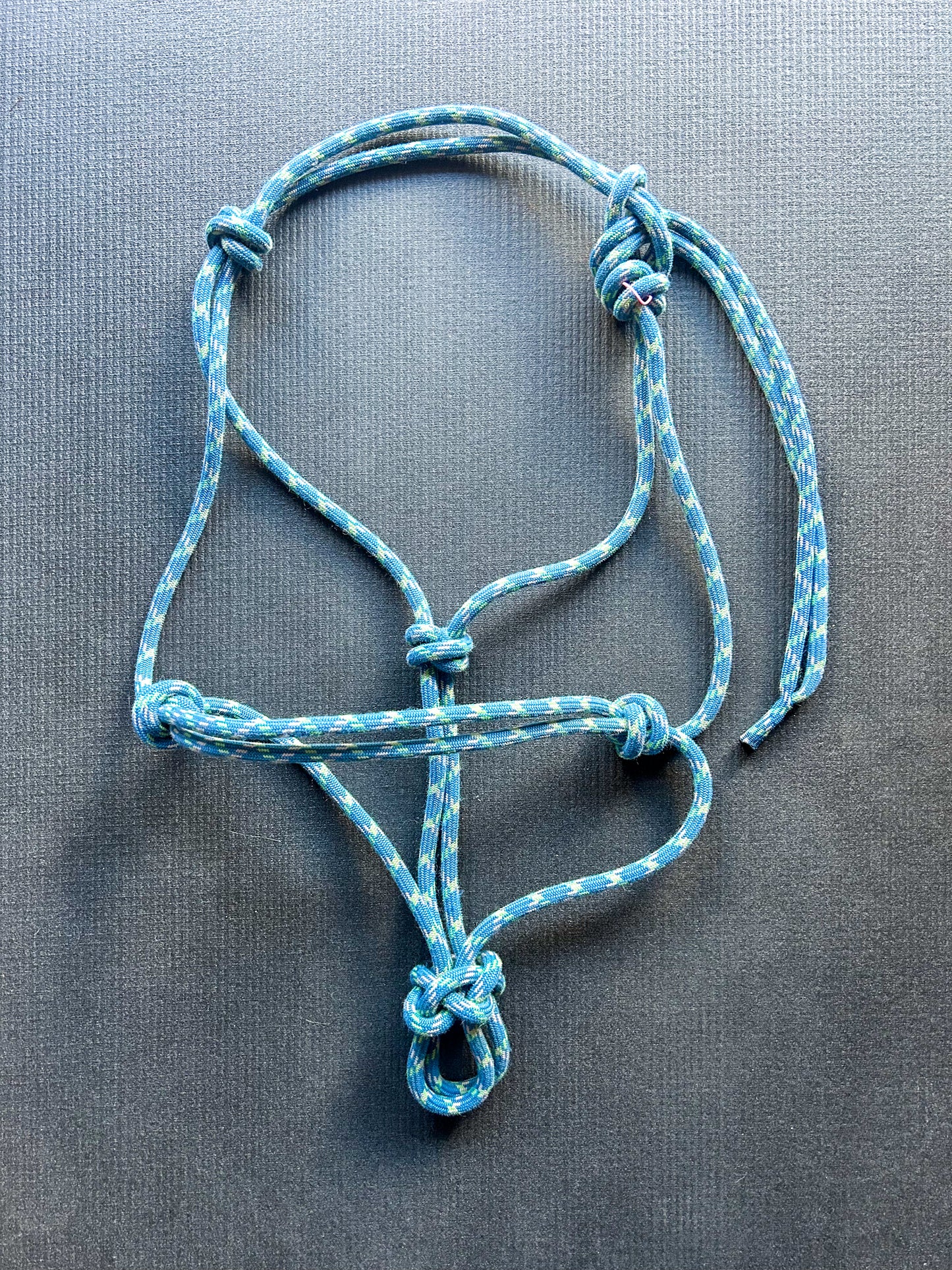 Licol en corde Dynamique