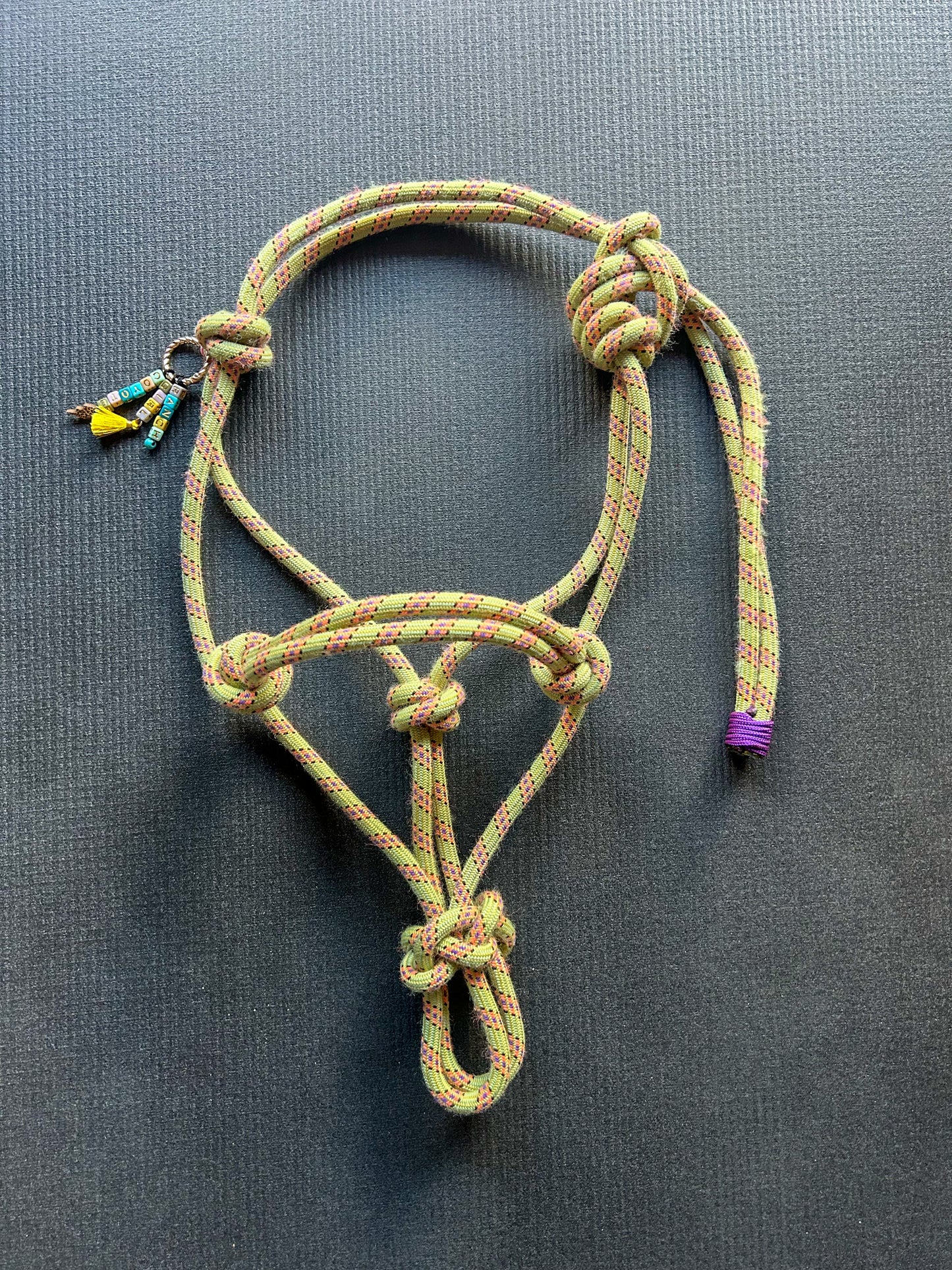 Licol en corde Dynamique