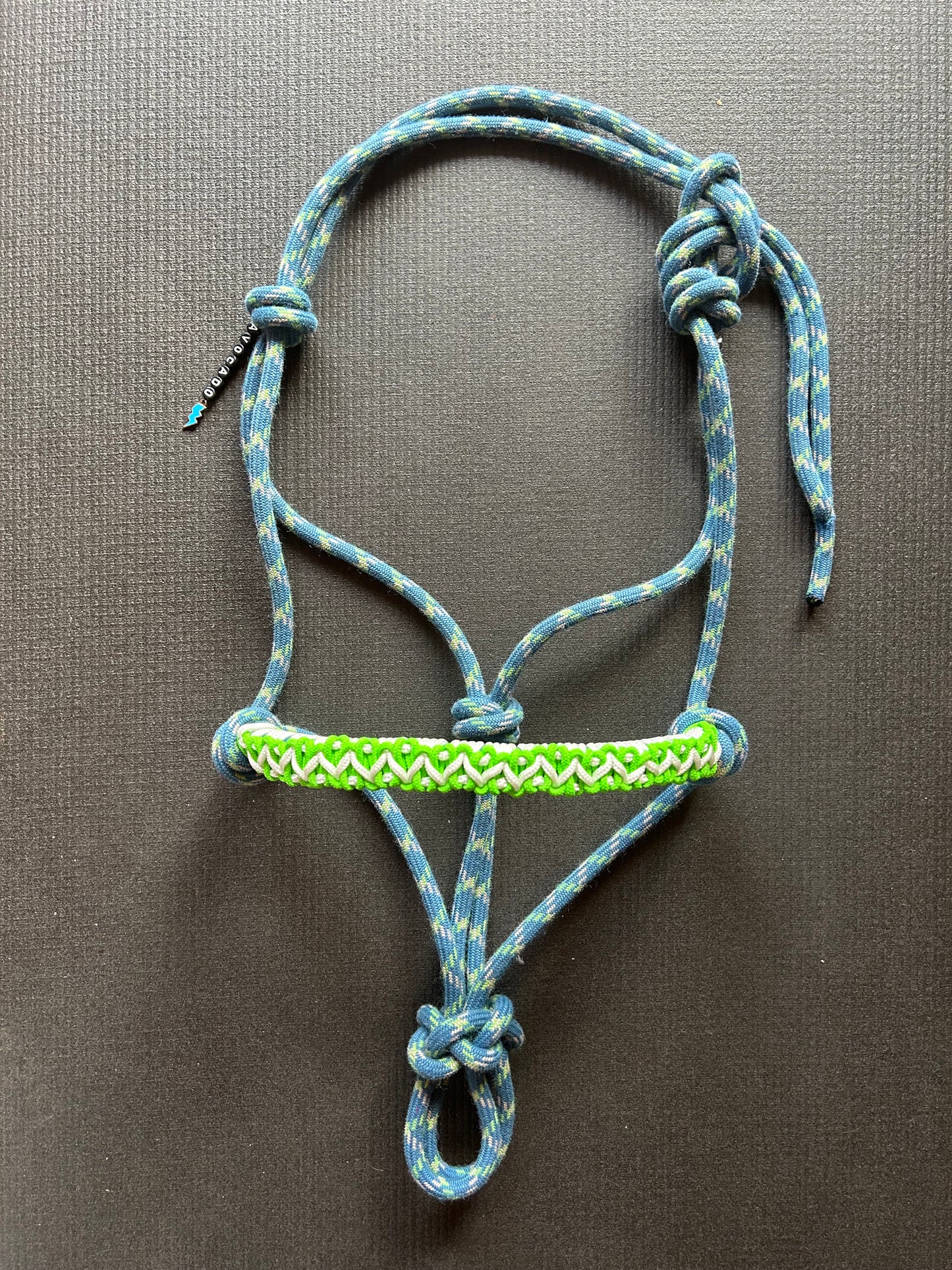 Licol tressage Avocado