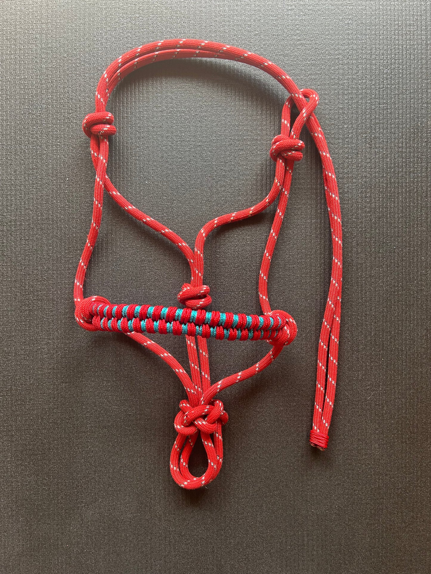 Licol tressage Storm