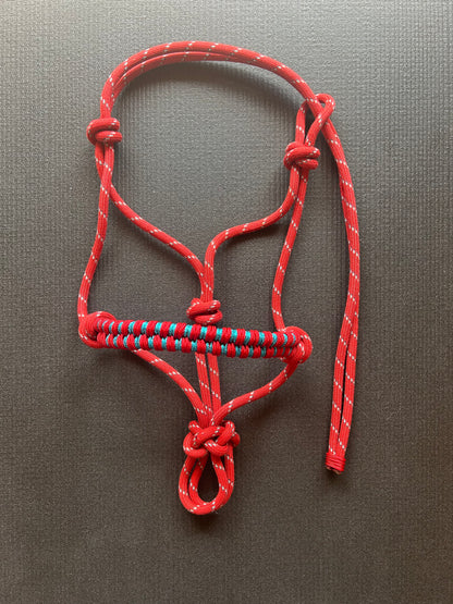 Licol tressage Storm