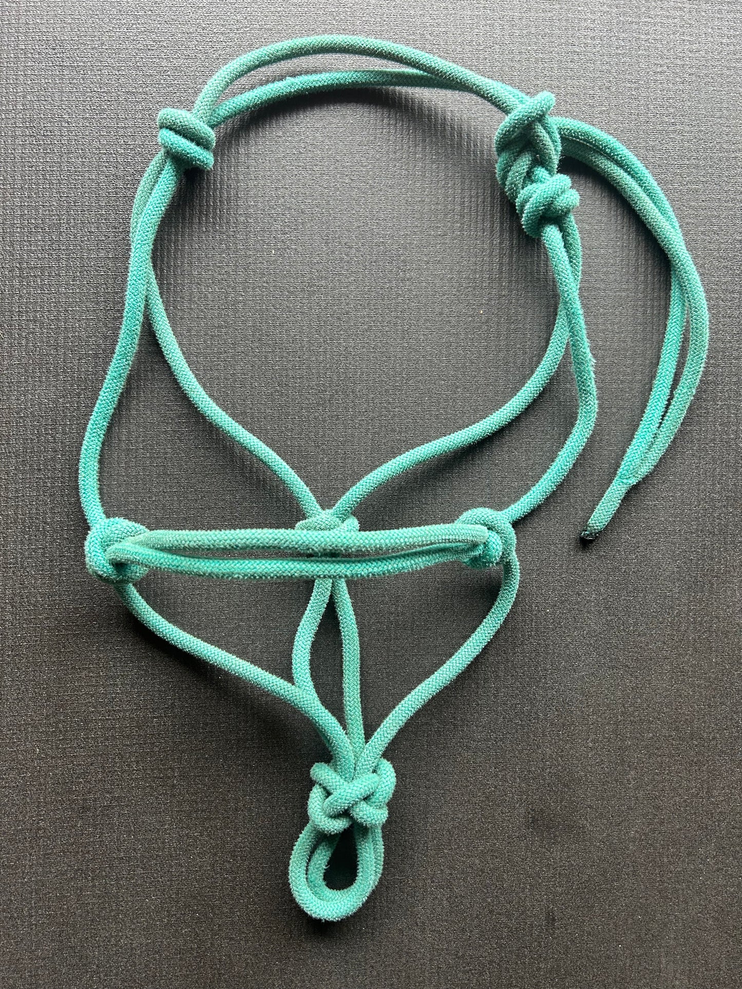 Licol en corde Dynamique