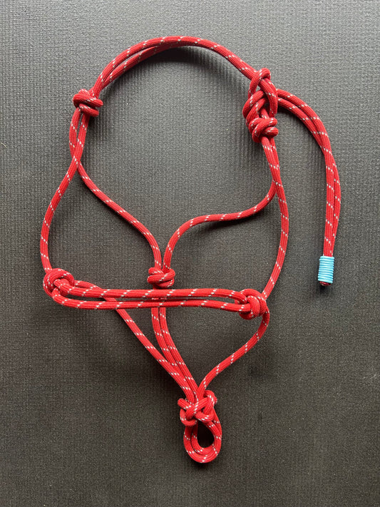 Licol prêt à partir – Rouge – Cheval