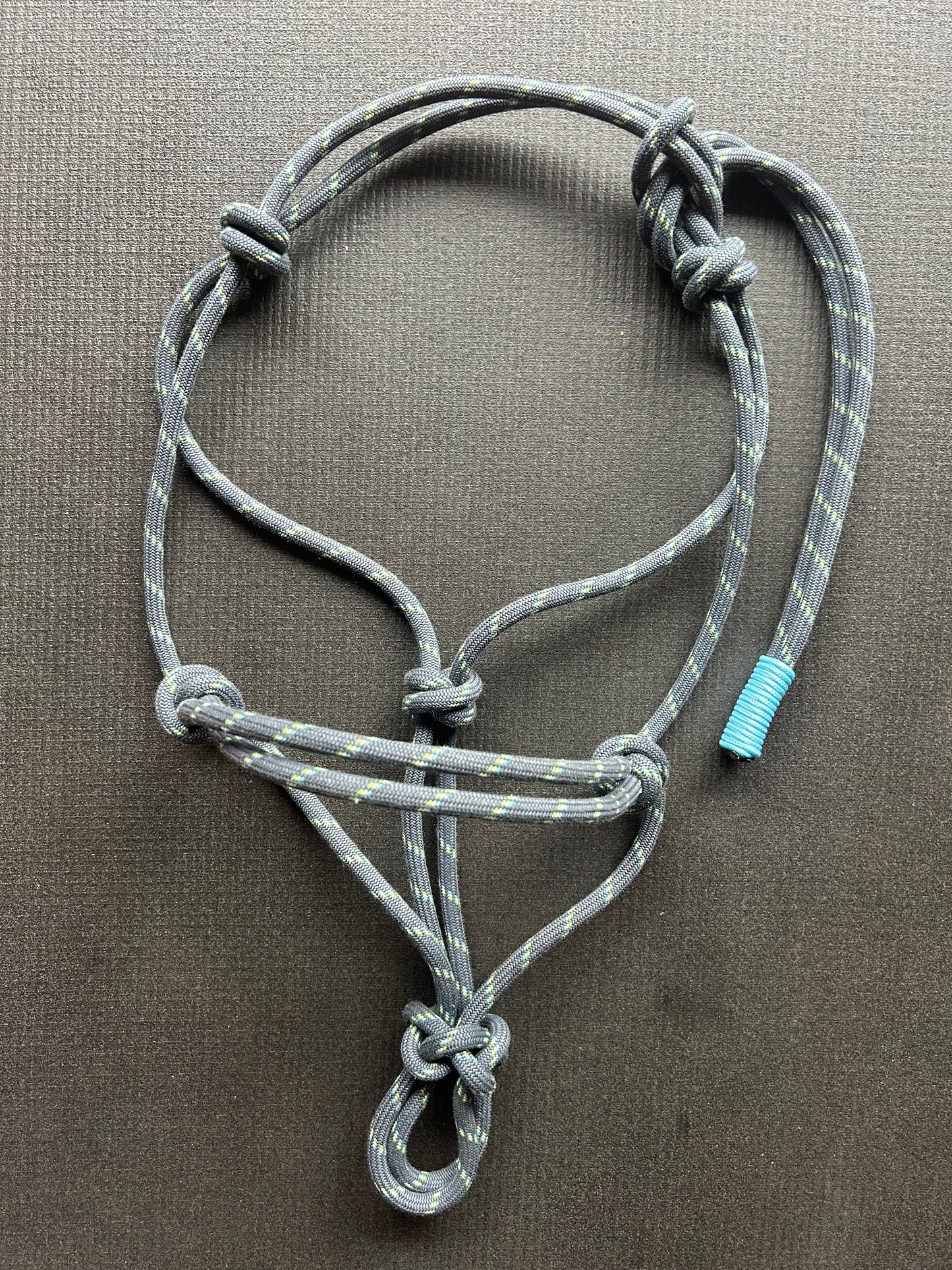 Licol en corde Dynamique