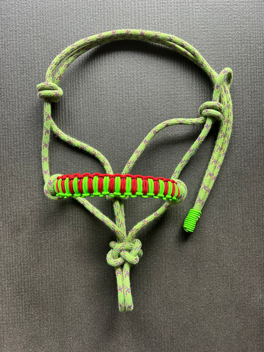 Licol prêt à partir – Tressage Hercules – Vert/Bleu