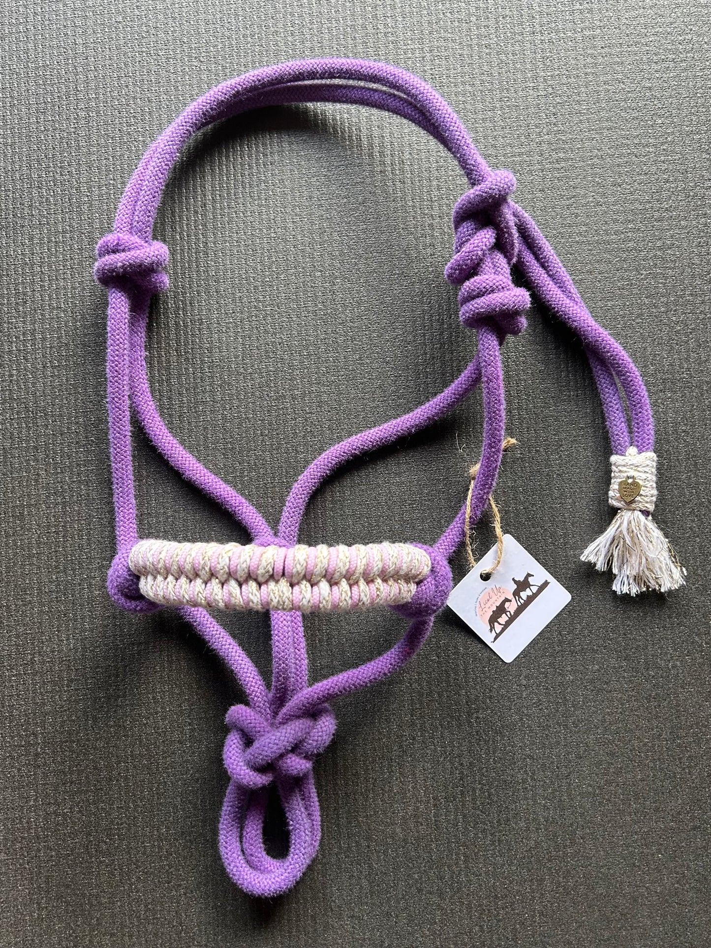 Licol tressage Fallin